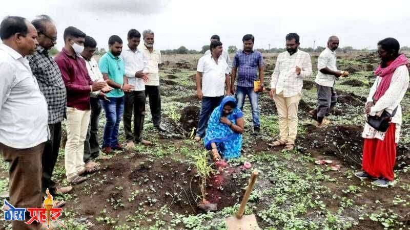 अमळनेर येथील गांधली या गावांमध्ये गुरुपौर्णीमेचे औचित्य साधून सामाजीक वनीकरण, ग्रामपंचायत, पाणी फाउंडेशन यांच्या प्रयत्नातून 17000 वृक्षांचे वृक्ष लागवड करण्याचा आज शुभारंभ "