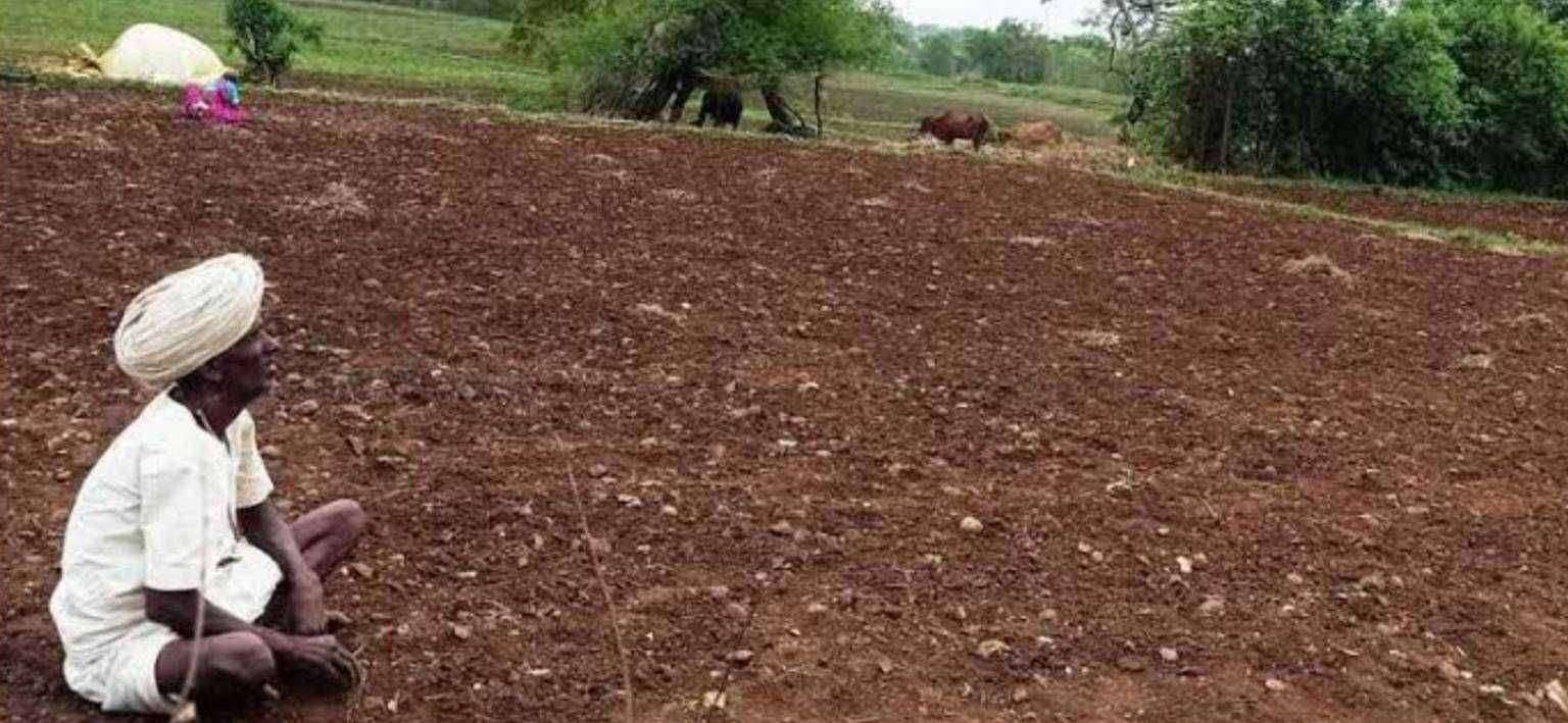?️अमळनेर कट्टा..आज तालुक्यात तुरळक पाऊस..पण तालुक्यात दुबार पेरणीचे संकट..!बळीराजाला दमदार पावसाची प्रतिक्षा..!