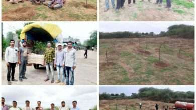 निंब या गावची भविष्यामध्ये कडुनिंबाचे झाडांचे गाव म्हणून भविष्यामध्ये ओळख निर्माण होणार...