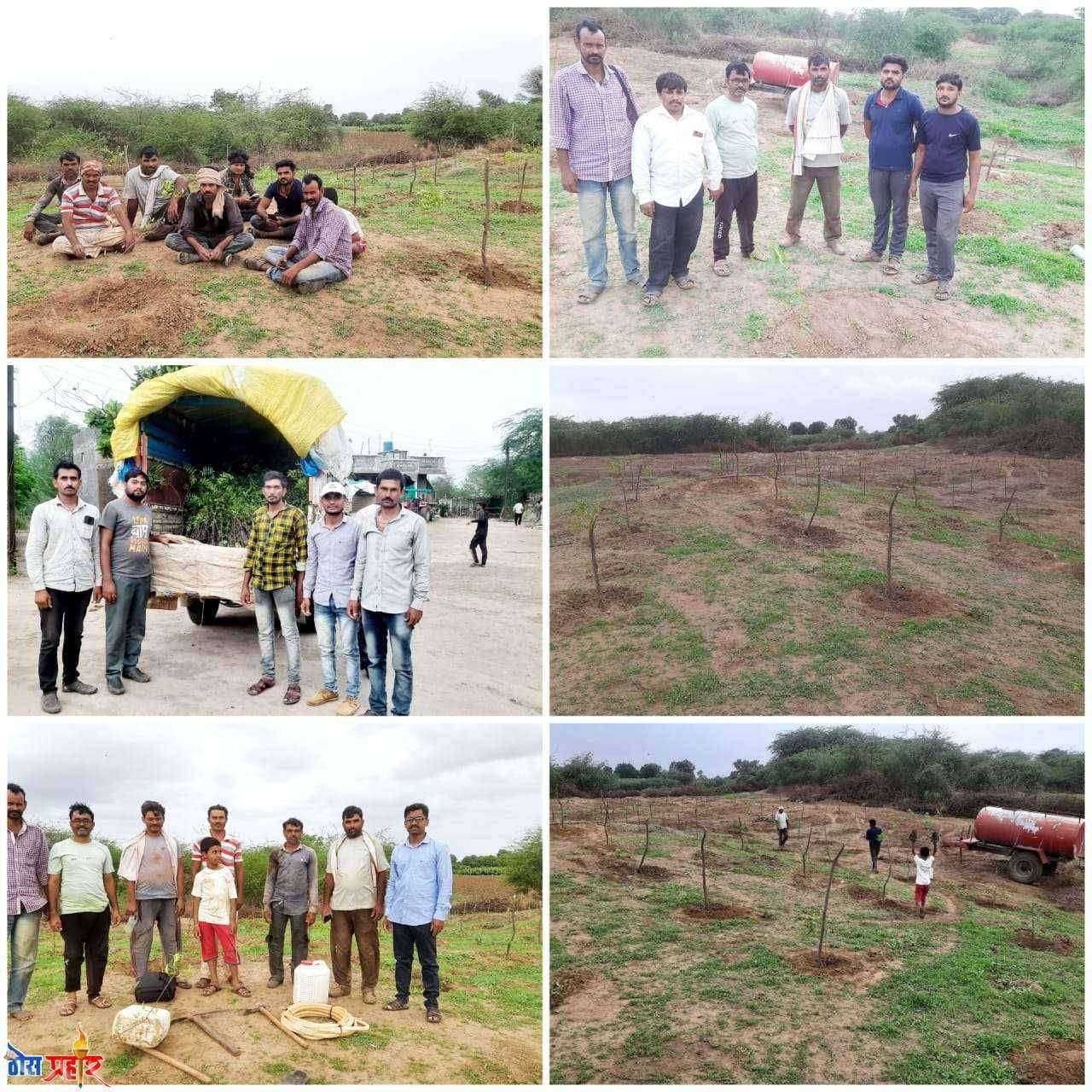 निंब या गावची भविष्यामध्ये कडुनिंबाचे झाडांचे गाव म्हणून भविष्यामध्ये ओळख निर्माण होणार...