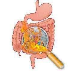 आरोग्याचा मुलमंत्र.. अपचन INDIGESTION (लक्षणे व उपाय)