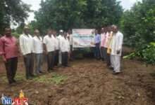 कर्जत येथे शेतकर्यांना मोसंबी बागायतदार संघ व संशोधन केंद्राच्या वतीने मार्गदर्शन व मोसंबी फळगळती,योग्य व्यवस्थापन गरजेचे - डाॅ.संजय पाटील