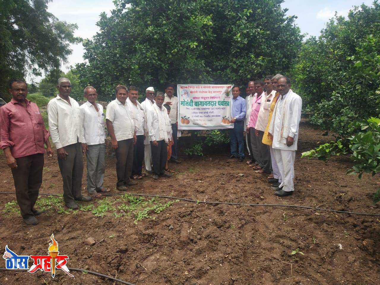 कर्जत येथे शेतकर्यांना मोसंबी बागायतदार संघ व संशोधन केंद्राच्या वतीने मार्गदर्शन व मोसंबी फळगळती,योग्य व्यवस्थापन गरजेचे - डाॅ.संजय पाटील