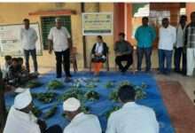 डोणदिगर येथे रानभाजी महोत्सव साजरा कृषि तंत्रज्ञान व्यवस्थापण यंत्रणा