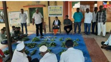 डोणदिगर येथे रानभाजी महोत्सव साजरा कृषि तंत्रज्ञान व्यवस्थापण यंत्रणा