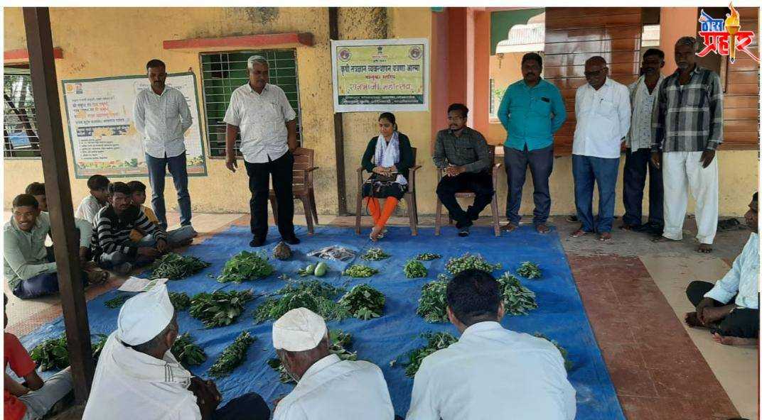 डोणदिगर येथे रानभाजी महोत्सव साजरा कृषि तंत्रज्ञान व्यवस्थापण यंत्रणा