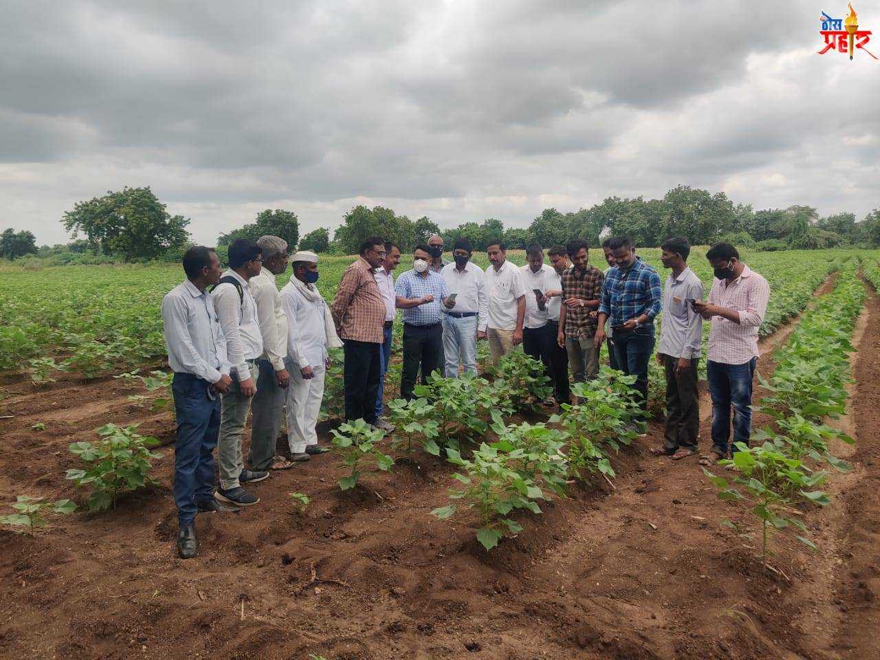 नगाव येथे राज्यव्यापी ई- पीक पाहणी डेमो app चा प्रशिक्षण कार्यक्रम संपन्न..