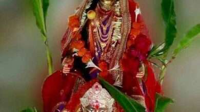 शिरपूर शहरामध्ये कानबाईंचे विसर्जन..