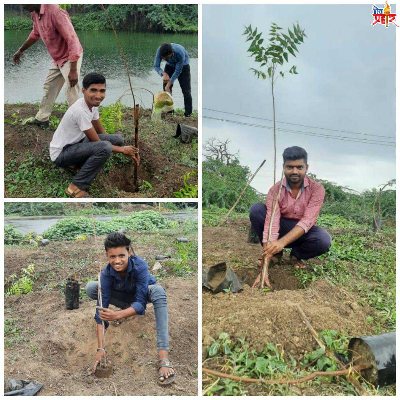 मैत्री वृक्ष पटर्नचे  सर्वत्र कौतुक...!गांधली येथे 1300 वृक्षांची लागवड....