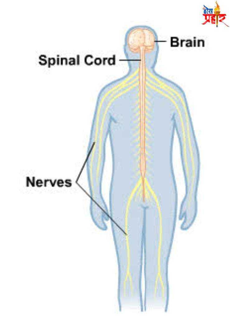 आरोग्याचा मुलमंत्र कोरोना नंतर आता AFM च संकट... लहान मुलांमधील या लक्षणांकडे दुर्लक्ष नको