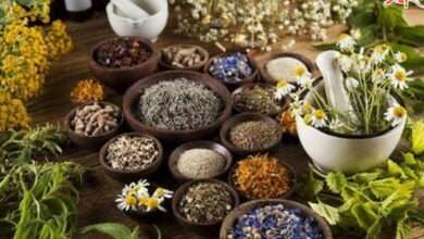 आरोग्याचा मुलमंत्र...चिरतरुण राहण्यासाठी आयुर्वेदीक टिप्स