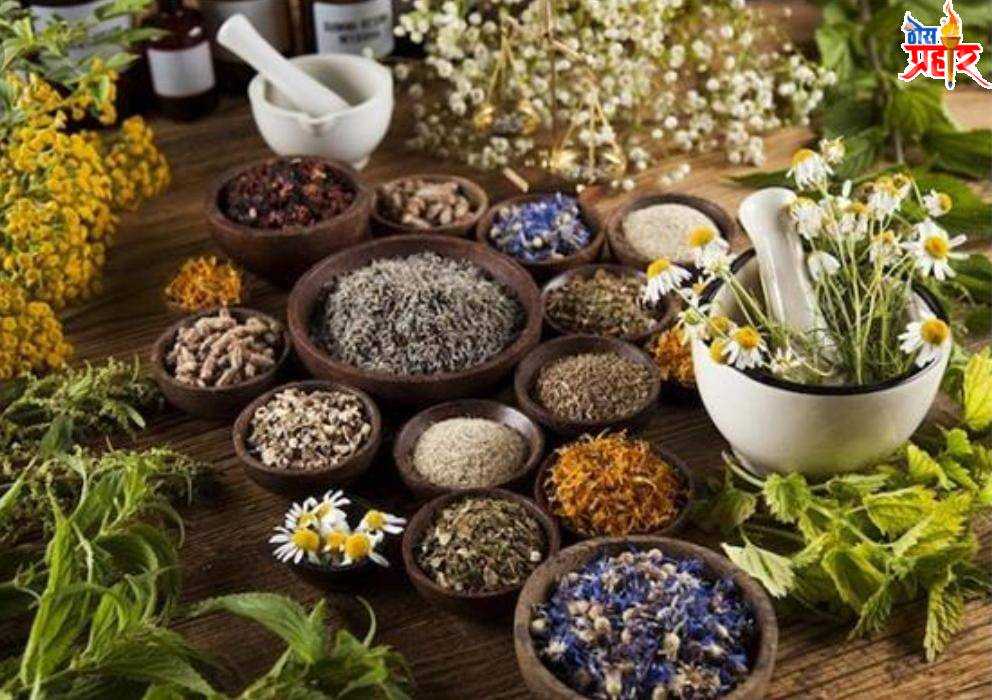 आरोग्याचा मुलमंत्र...चिरतरुण राहण्यासाठी आयुर्वेदीक टिप्स