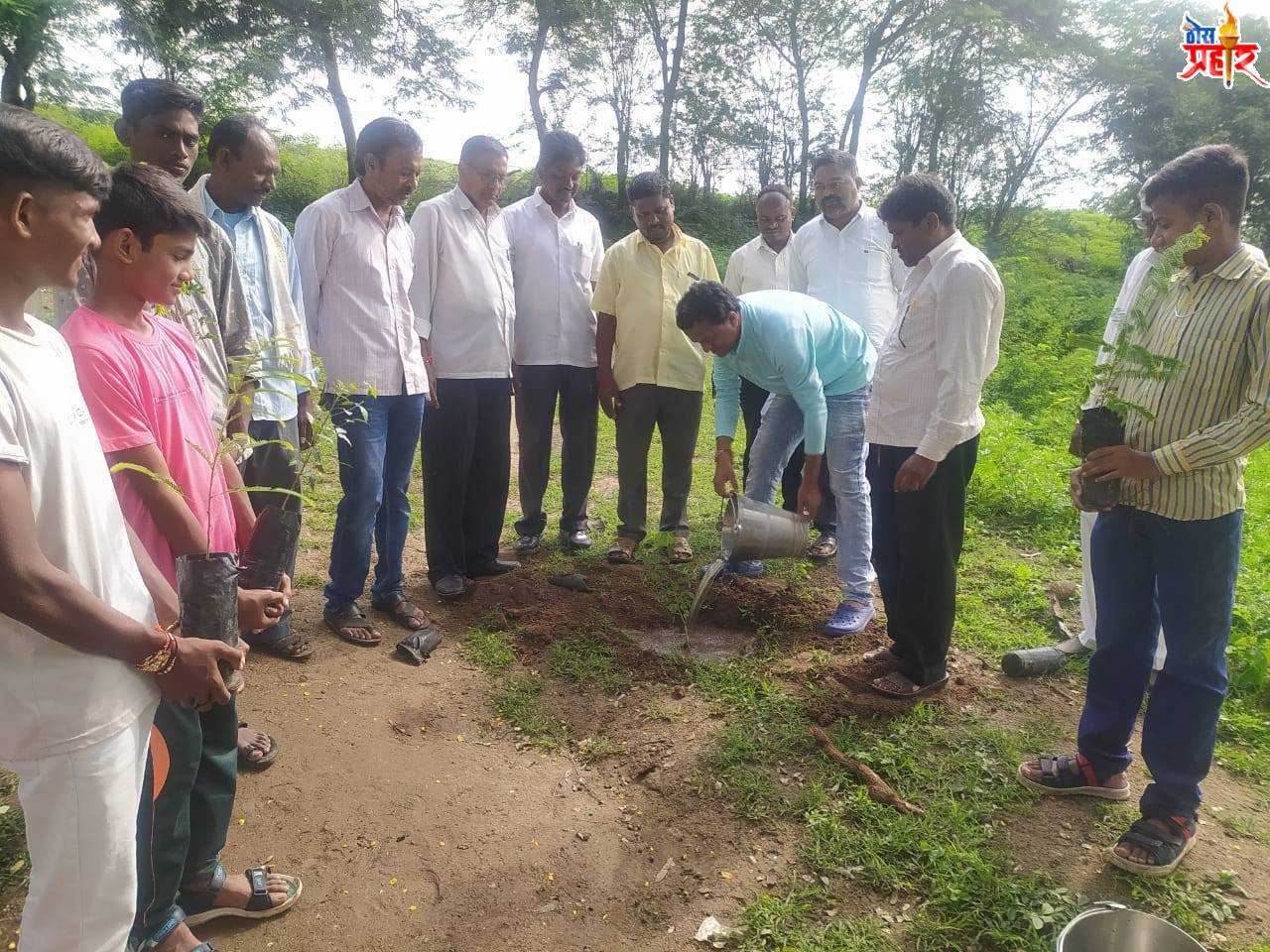 दि.न पाडवी माध्यमिक विद्यालय कोडीद येथे वृक्षारोपण कार्यक्रम संपन्न