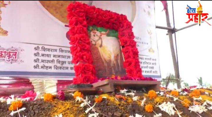 बैलाप्रती असलेली कृतज्ञता व्यक्त करण्यासाठी शेतकऱ्याने घातला बैलाचा तेरावा