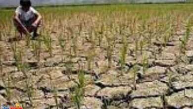 दुष्काळाच्या पार्श्वभूमीवर शेकडो शेतकरी उद्या  धडकणार जिल्हाधिकारी कार्यालयात..!लोकप्रतिनिधींनी सोडले वाऱ्यावर..लढतील शेतकरी आता आपल्याच दमावर..!