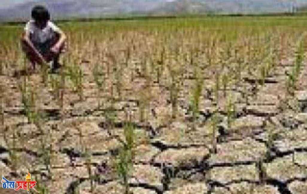 दुष्काळाच्या पार्श्वभूमीवर शेकडो शेतकरी उद्या  धडकणार जिल्हाधिकारी कार्यालयात..!लोकप्रतिनिधींनी सोडले वाऱ्यावर..लढतील शेतकरी आता आपल्याच दमावर..!