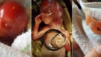 धक्कादायक...शिक्षकाचे प्रताप..मुलासाठी "इतक्या" वेळा करायला लावला पत्नीला गर्भपात...