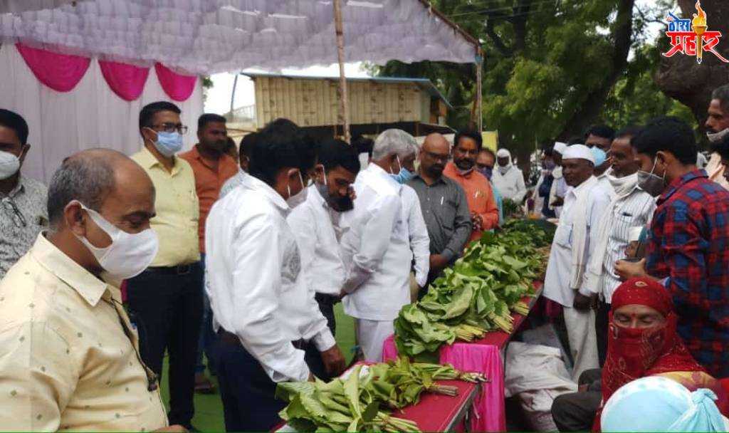 रानभाज्या उपलब्धतेसाठी कृषी विभागाने प्रयत्न करावे - आमदार दिलीप बोरसे