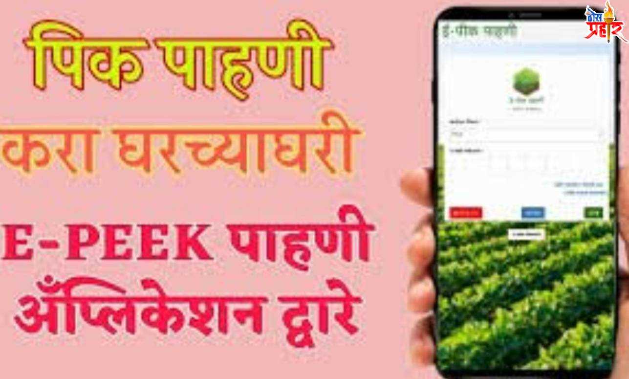 ई-पीक पाहणी आणि पिक पेराला ऑनलाईन सर्व्हरचा खोळंबा..शेतकऱ्यांच्या अडचणीत वाढ
