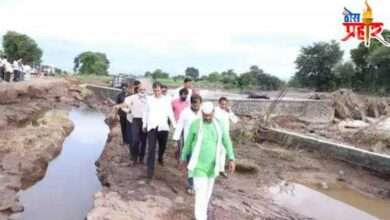 नुकसानीचे तात्काळ पंचनामे करून शासनास अहवाल सादर करा, राज्यमंत्री अब्दुल सत्तार यांचे निर्देश