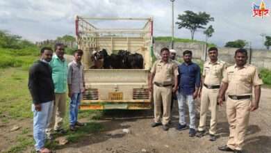 चोरीची महिंद्रा कार आणि 11 शेळ्या शहागड येथे सोडून चोरटे पसार गोंदी पोलीसांनी केला 16 किलोमीटर चोरट्याचा पाठलाग