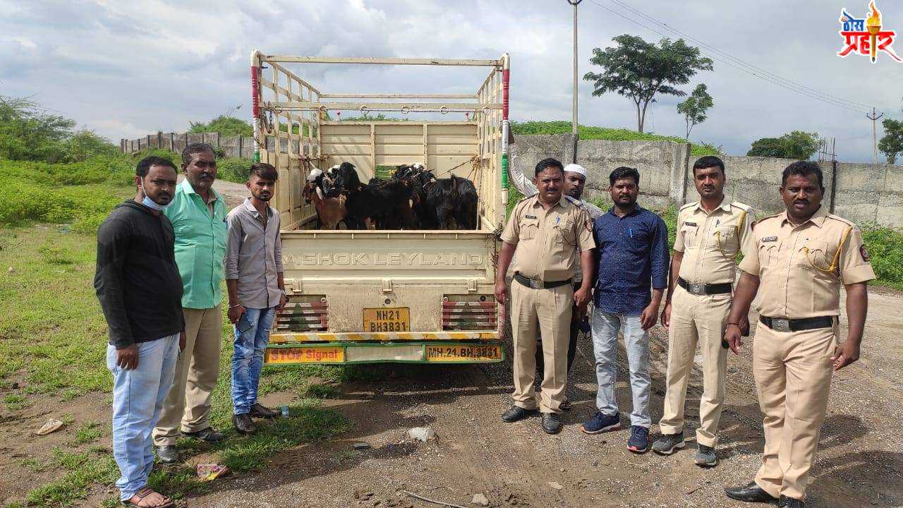 चोरीची महिंद्रा कार आणि 11 शेळ्या शहागड येथे सोडून चोरटे पसार गोंदी पोलीसांनी केला 16 किलोमीटर चोरट्याचा पाठलाग