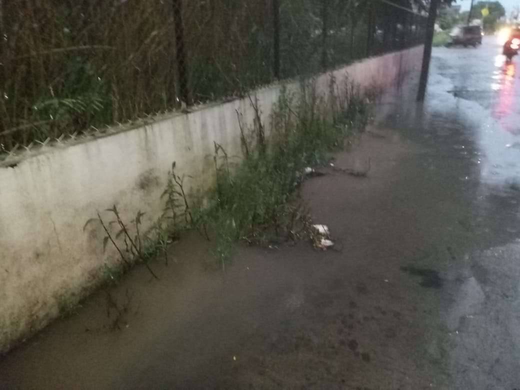 आश्चर्यजनक :- माती व कचऱ्याने भरलेली गटारमध्ये उगली झाडे : सावदा पालिकेला साफसफाईचा विसर...! "मुख्याधिकारी यांनी लक्ष देण्याची गरज"