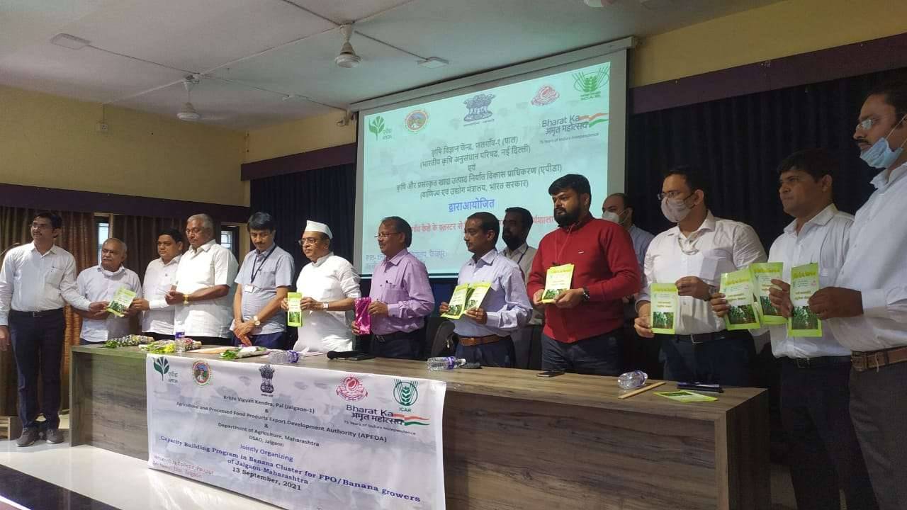 धनाजी नाना महाविद्यालयात एकदिवसीय निर्यातक्षम केळी उत्पादन तंत्रज्ञान या विषयावर कार्यशाळा संपन्न