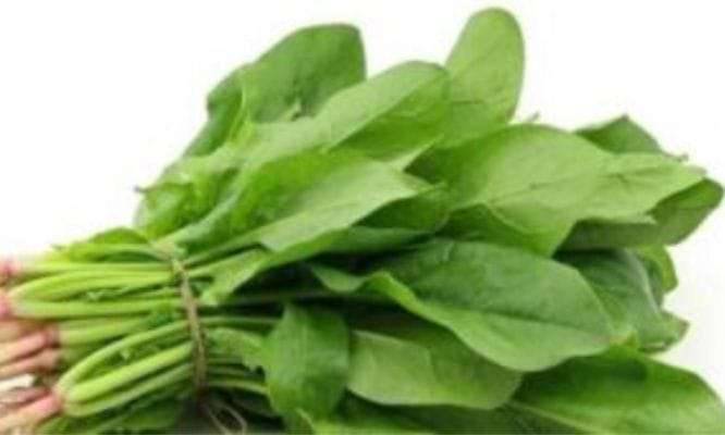 आरोग्याचा मुलमंत्र पालक भाजी सेवनाचे आरोग्यास फायदे