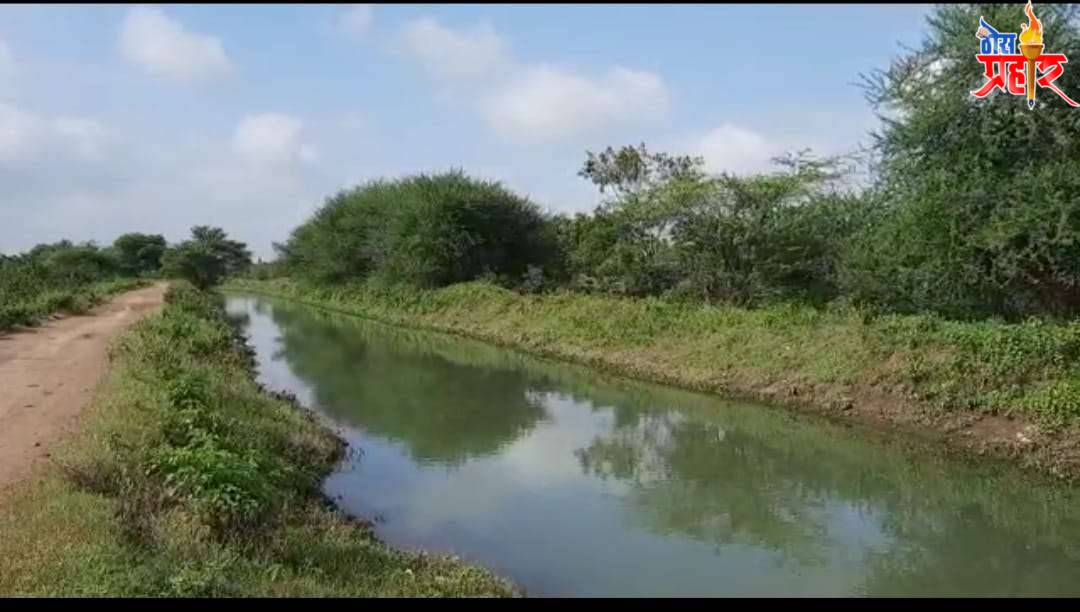 नाशिक - निफाड- गंगापूर कालवा , सैय्यद पिंप्री व खेरवाडी परिसरातील चारी नबंर १५ ची झाली दुरावस्था.