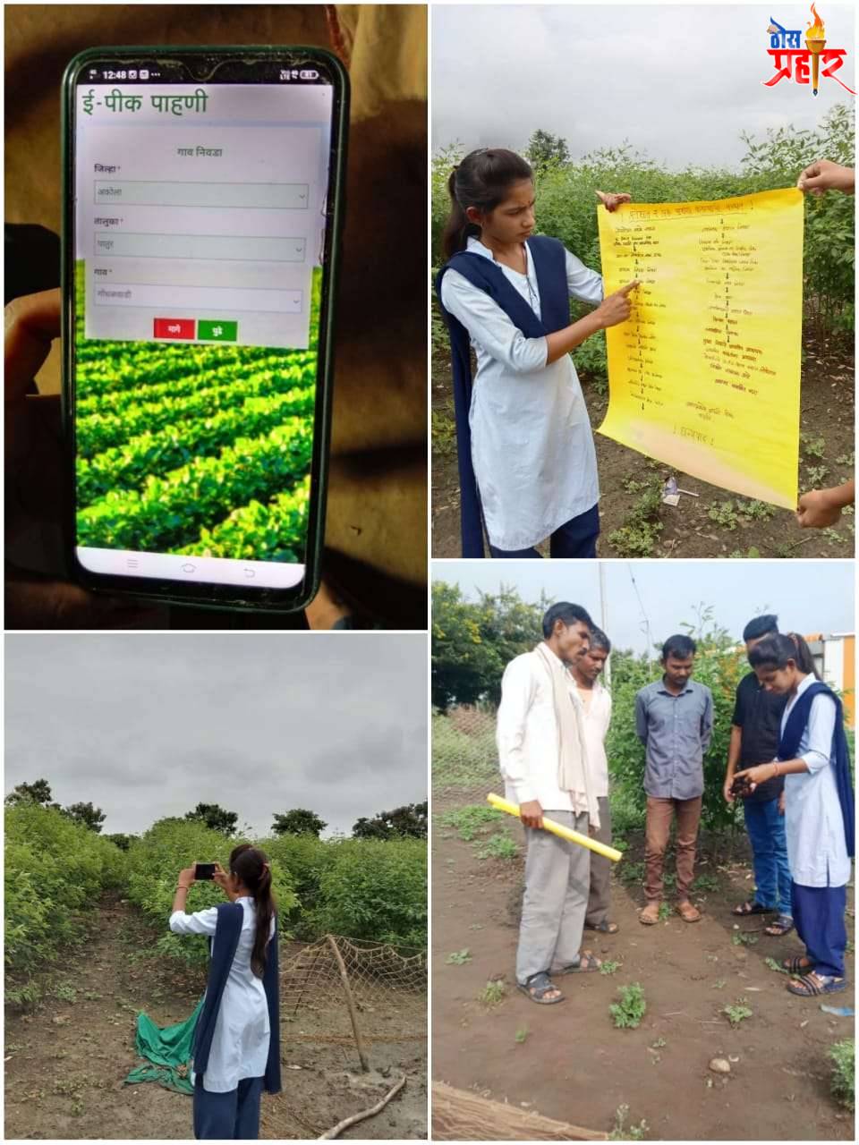 पातूर तालूका येथील गोधंळवाडि ग्राम येथे इ पीक पाहणी विषेश माहिती मार्गदर्शन