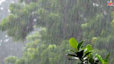 अमळनेर तालुक्यात 216 mm पावसाची नोंद.. पहा तालुक्यातील पावसाची आकडेवारी...