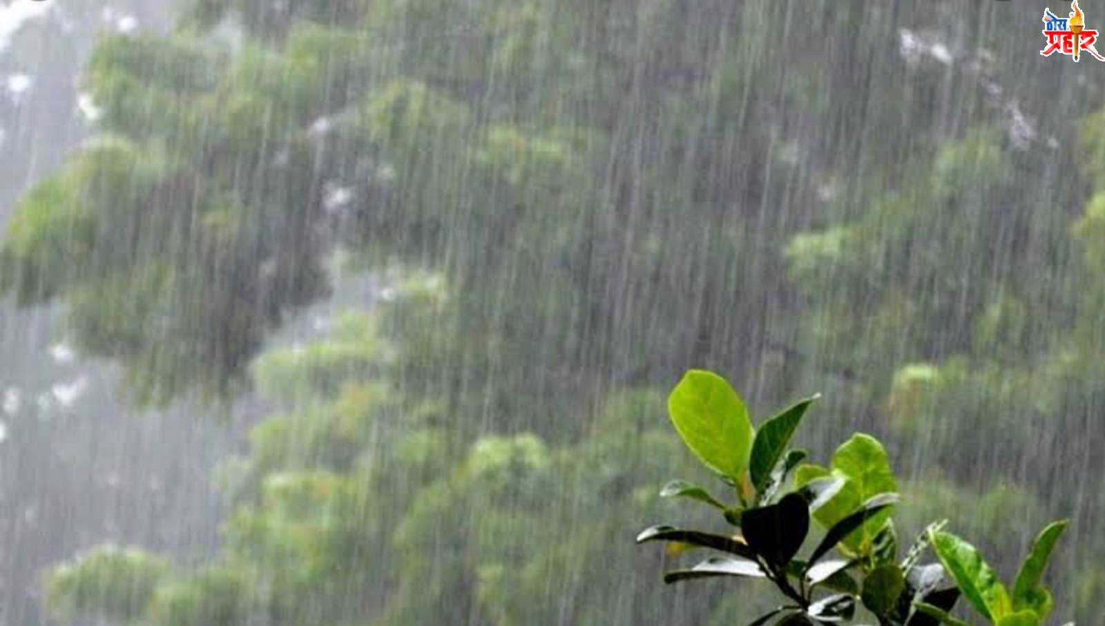 अमळनेर तालुक्यात 216 mm पावसाची नोंद.. पहा तालुक्यातील पावसाची आकडेवारी...