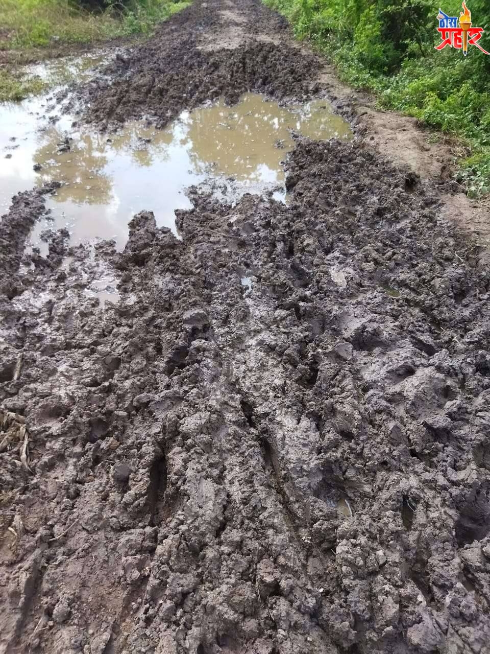 स्वयंघोषित भूमिपुत्र आमदार यांनी शेतात जाणाऱ्या रस्त्यांवर लक्ष केंद्रित करावे शेतकऱ्यांनी व्यक्त केली खंत