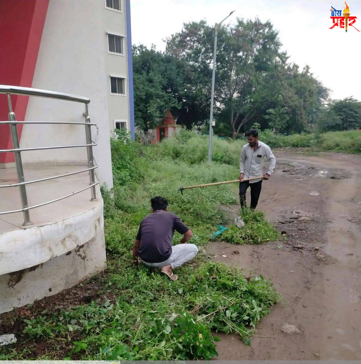 चांदवड नगरपरिषद संचलित वाचनालय परिसरात स्वच्छता विभागाकडून साफसफाई