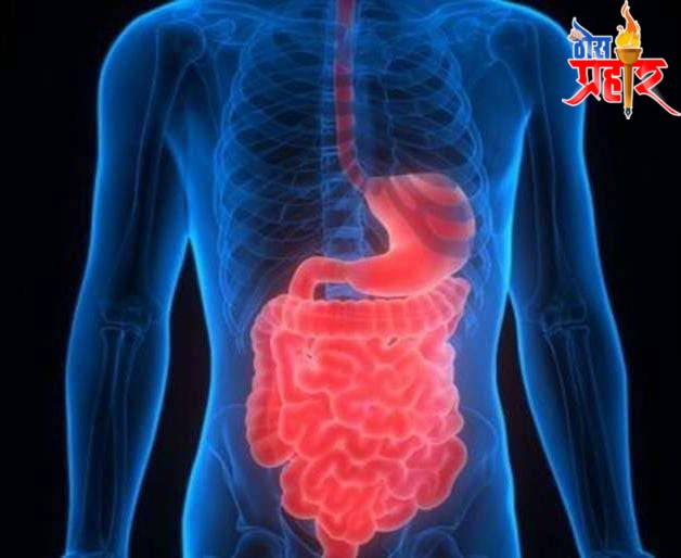 आरोग्याचा मुलमंत्र..पोट विकार आणि अपचनावर घरगुती उपचार