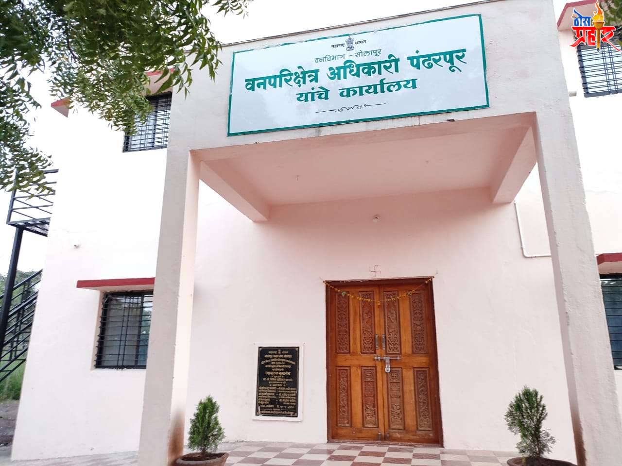 अफवांवर नागरिकांनी विश्वास ठेवू नये वनविभागाचे आव्हान