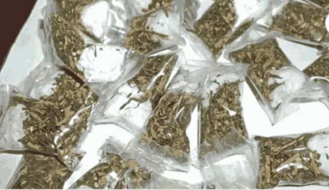 अमेझॉन..कढीपत्ता....गांजाची तस्करी की फोडणी..!