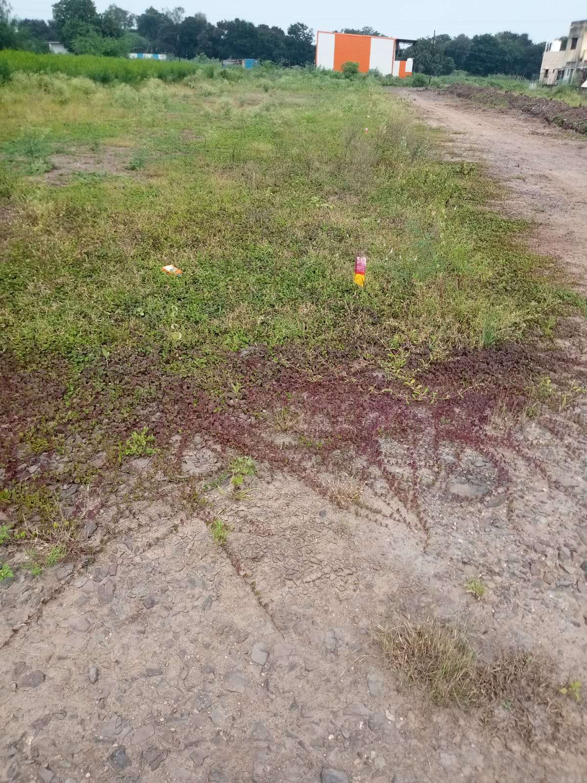 सावदा येथे गट नं.१३५ च्याया शेत जमीनीची प्लॉटी म्हणून बेकायदा विक्रीची बुकींग सुरू!