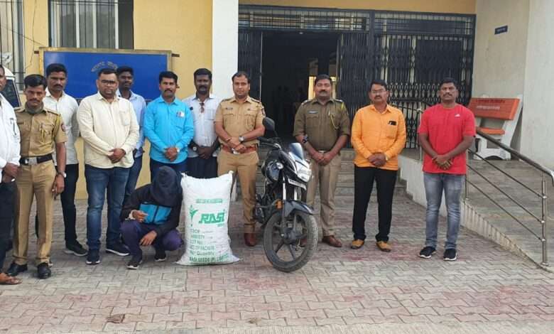 भिगवण पोलिसांनी पकडला ३५ किलो गांजा