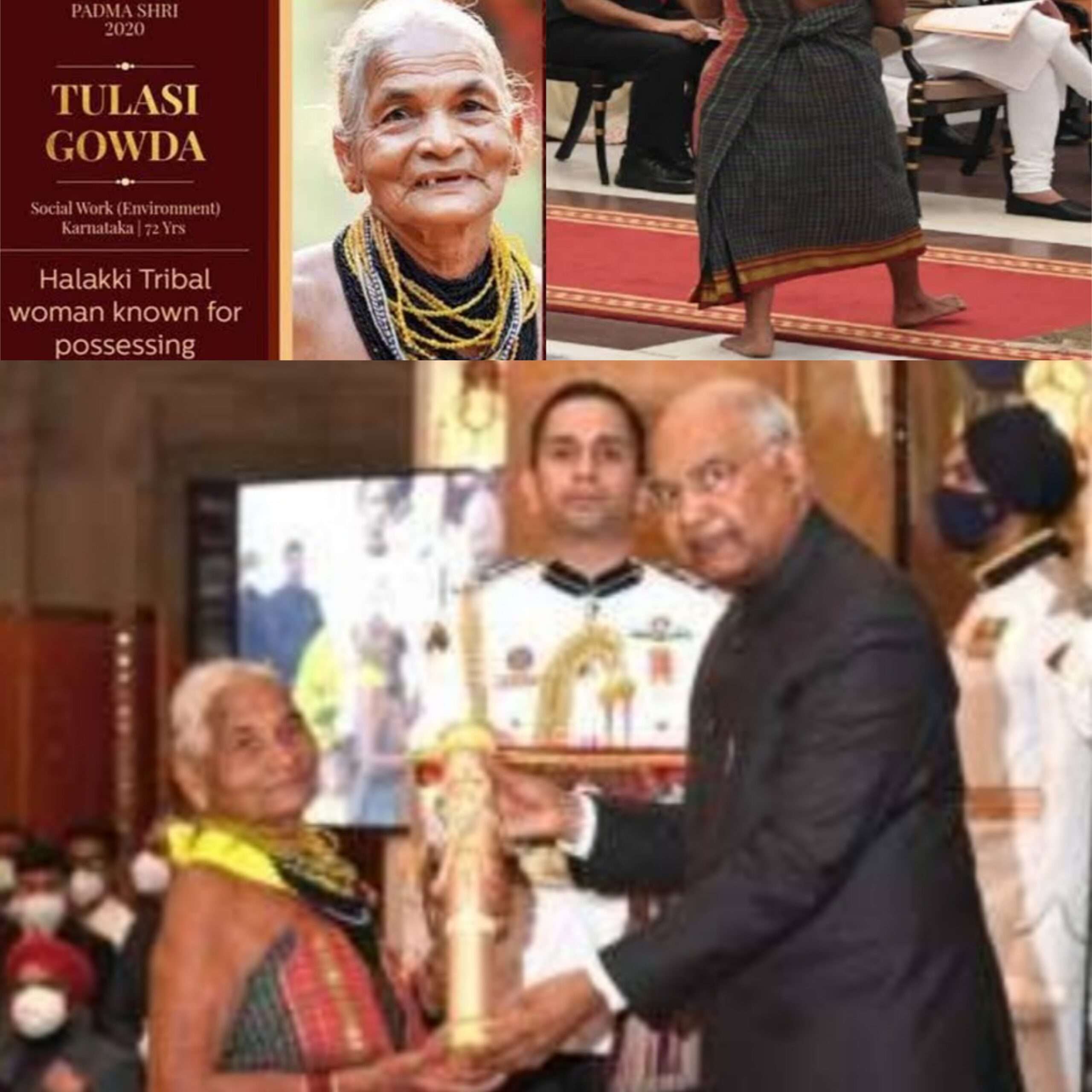 पारंपरिक आदिवासी पेहराव..अनवाणी पद्मश्री स्विकारणाऱ्या कोण आहे पद्मश्री पुरस्कार विजेत्या  तुलसी गौडा..!वाचा आदिवासी वनराणीची कहाणी..!