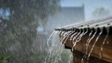 अरे हा तर हिवसाळा..!राज्यात पुन्हा जोरदार पावसाची शक्यता..!ह्या जिल्ह्यांना येलो अलर्ट..!