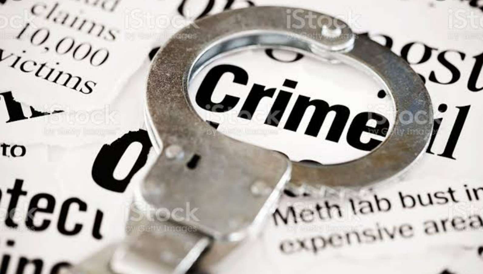 लाचेच्या जाळ्यात दोन वनाधिकारी, तीस हजाराची लाच स्वीकारताना रंगेहाथ पकडले