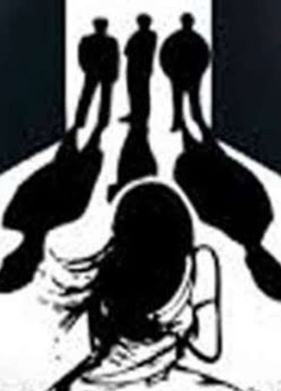 अमळनेर : घरात घुसून महिलेला मारहाण..विनयभंगाचा गुन्हा दाखल...