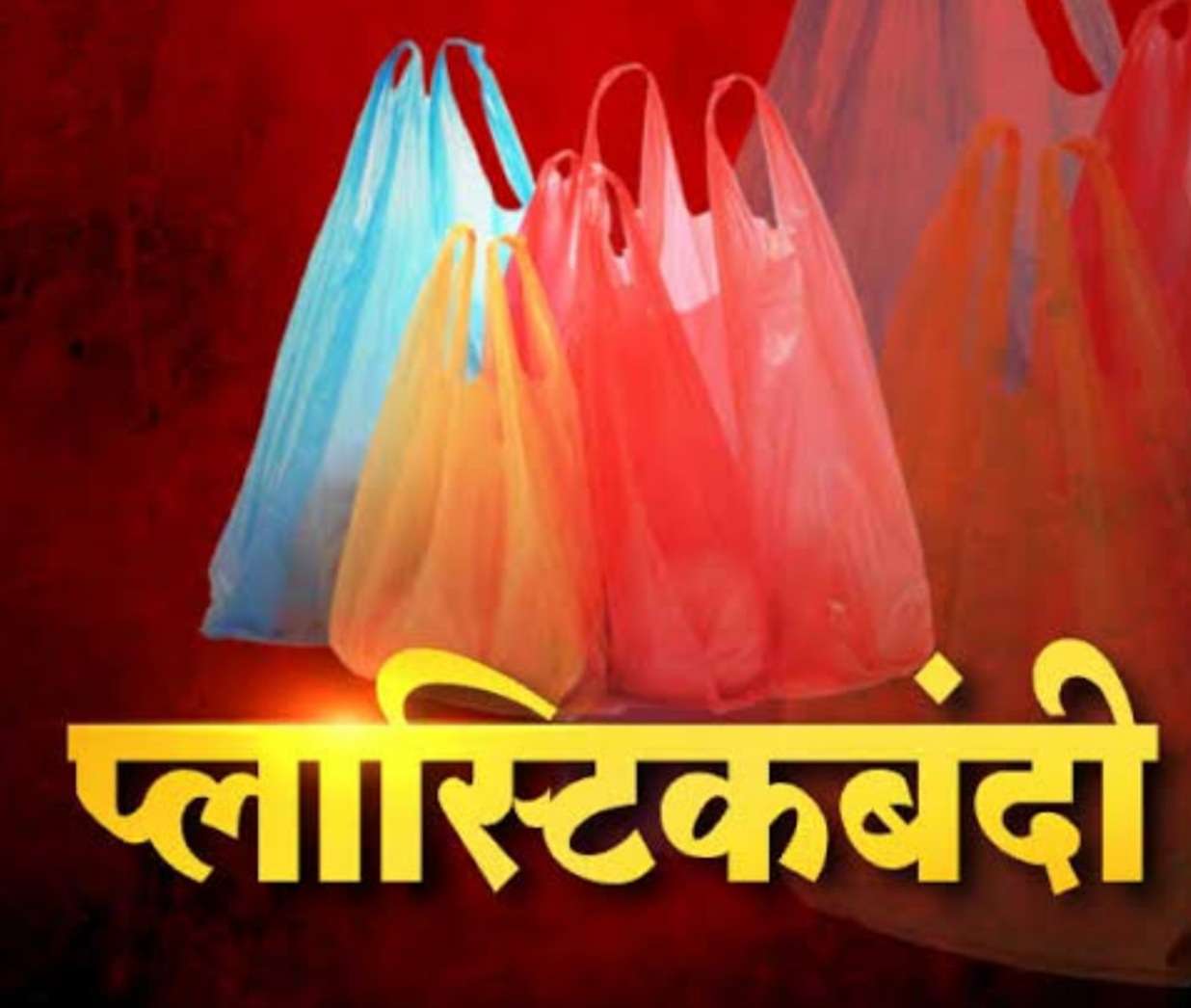 अमळनेर:प्लास्टिक विक्रेत्या दुकानदारांवर न प ची कार्यवाही..!