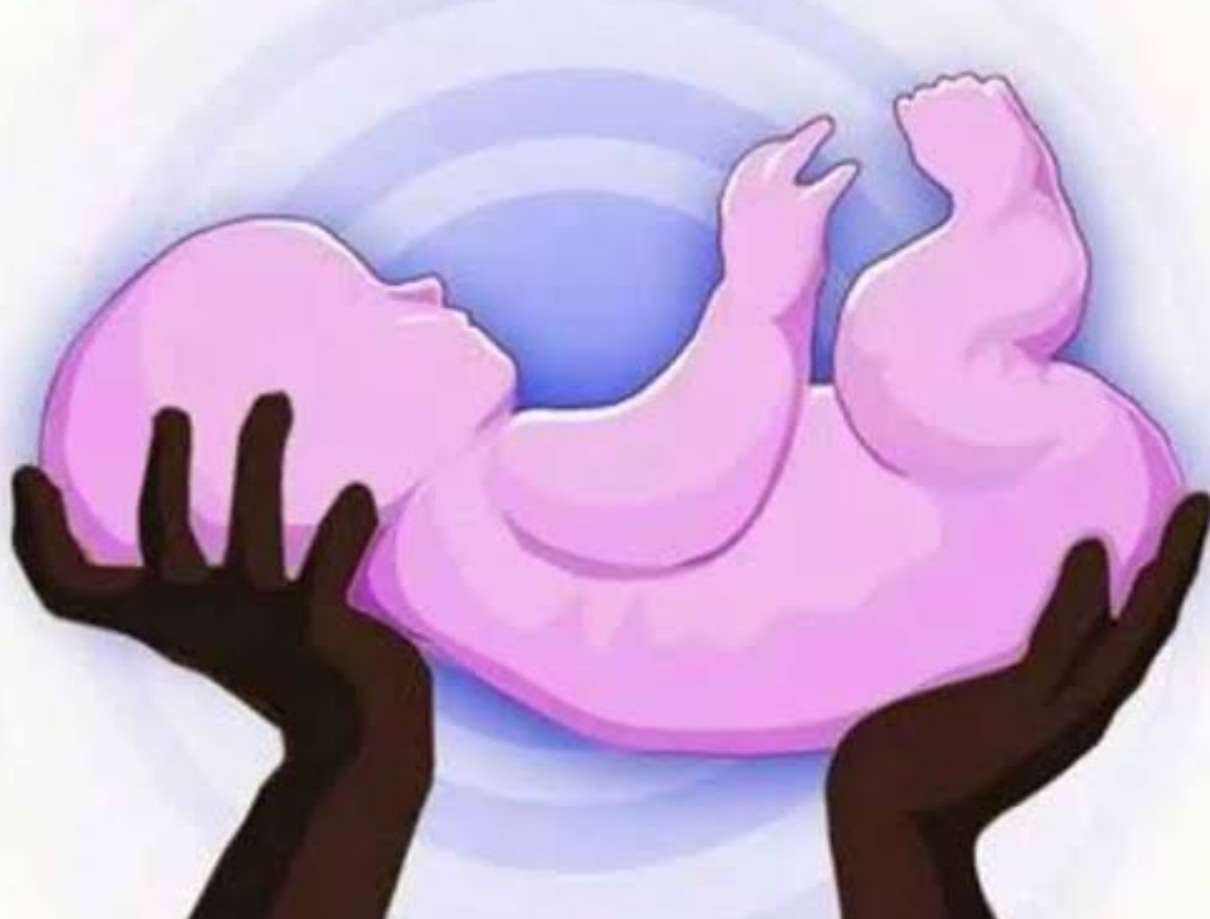 जळगावात उकिरड्यावर आढळले अर्भक मृतावस्थेत...