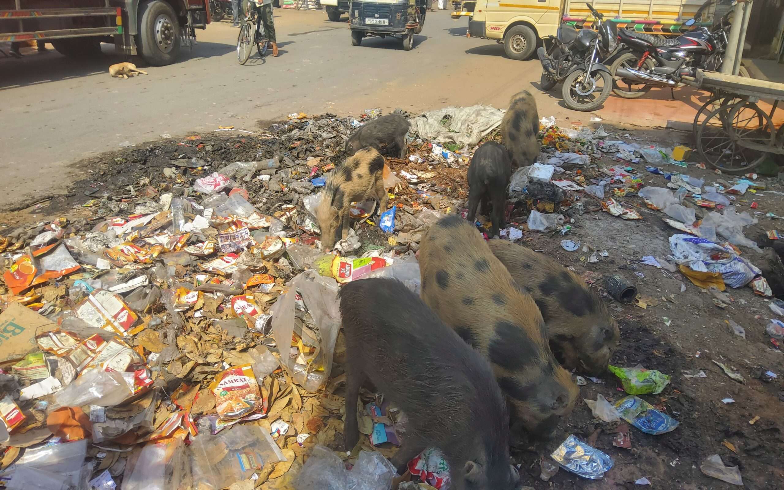 अमळनेर: स्वच्छ शहराचा पुरस्कार मिळालेल्या शहरात ठीक ठिकाणी अस्वच्छता..!पुरस्कार खरा की कागदावरचा..?