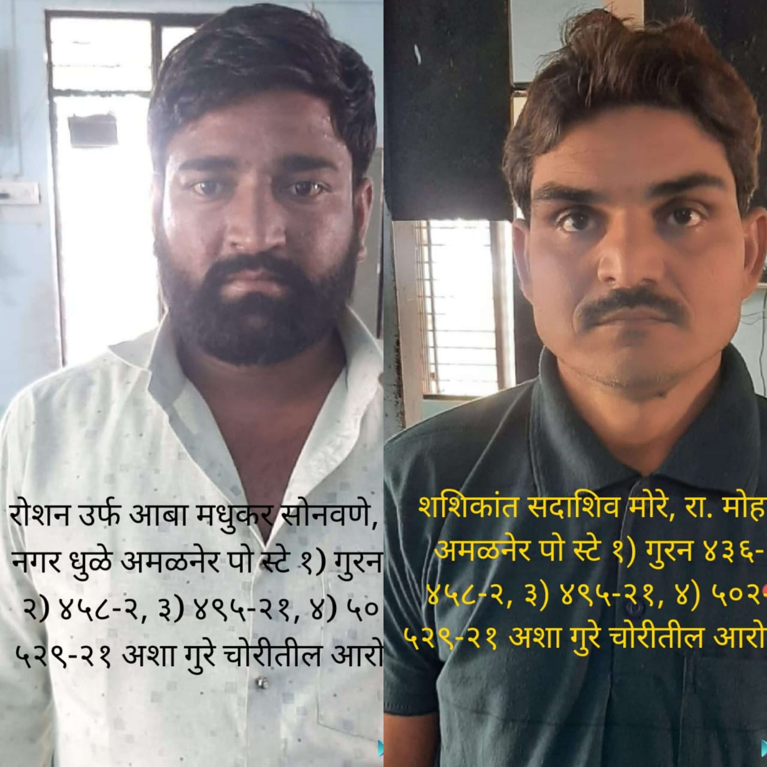 Amalner: गुरे चोरीतील 6 आरोपी पोलिसांच्या ताब्यात..!