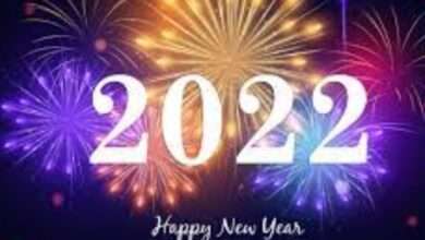 नववर्ष साजरा करताय..?राज्य सरकारने केली नवीन नियमावली जाहीर..! हे आहेत नियम..!