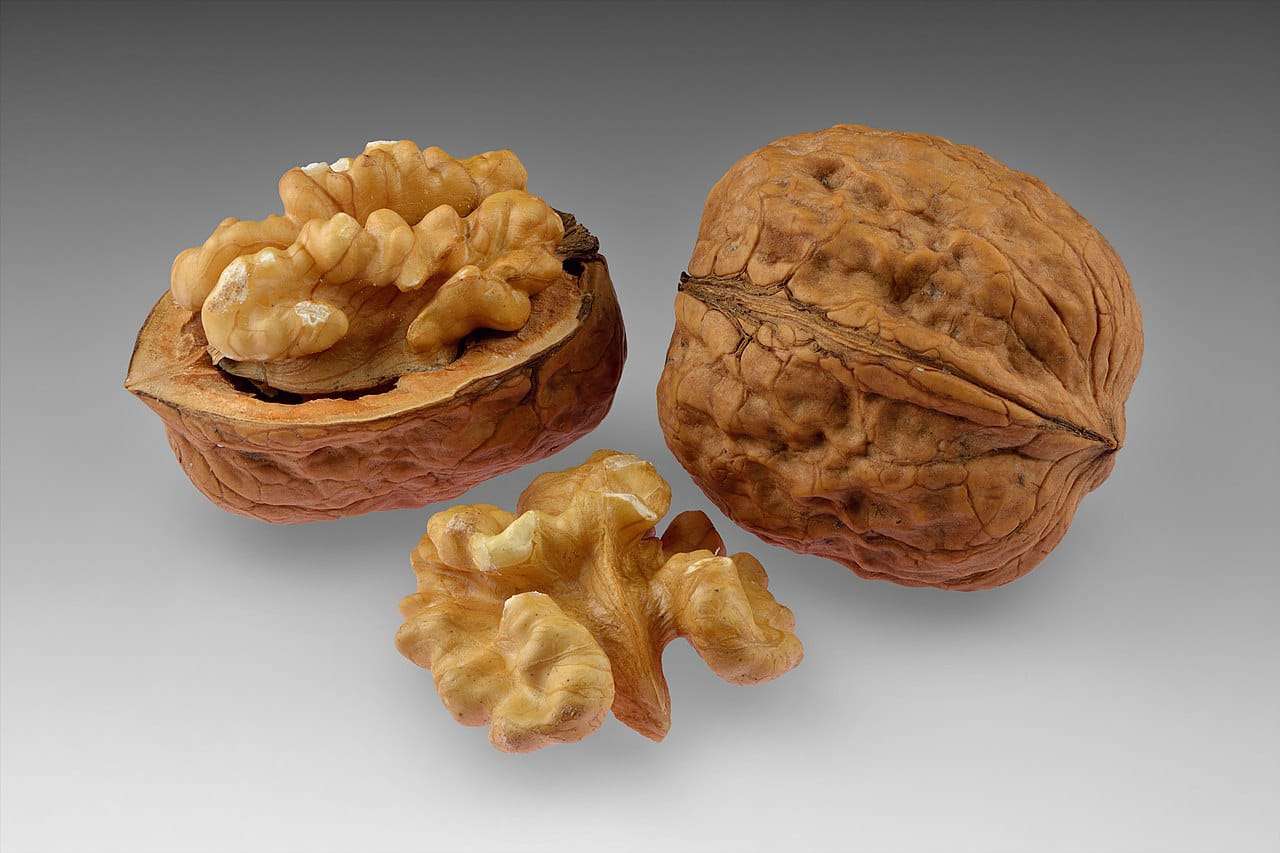 आरोग्याचा मुलमंत्र..गुणकारी अक्रोड (Walnut)